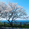不登校やひきこもりの子に😌