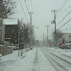 大雪になりました