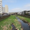 野川　又住橋～御塔坂橋（東京都調布市）