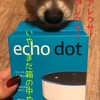 【Amazon Echo Dot】パソコンでアレクサ（Alexa)のスキルなどを管理してみよう！