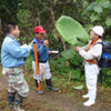 当館周辺植物調査