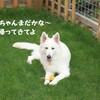 イライラする
