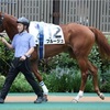 【一口馬主日記】ブルージュ編！