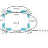 OSPF③