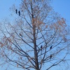 豊橋公園は、いったい、誰のもの？　闇雲にアリーナに向かう前に本来して欲しいことは？　中編