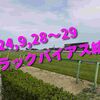 2024,9,28～29 トラックバイアス結果 (中山競馬場、中京競馬場)