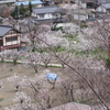 あんずの里（風景の中へ36）