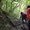 芒種の梶ヶ森遊山　承