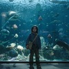 映画の中の「水族館」「動物園」ほぼ100本、、、