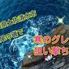 2日目もグレが爆釣！！松尾の湾内磯カシラゴもヤベ～よｗｗ（動画もあるよ～）