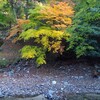 武奈ヶ岳（坊村〜奥の深谷〜武奈ヶ岳〜御殿山〜坊村）