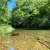 素人キャンプ　20230604七戸町森林公園