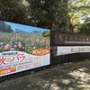 神代植物公園の薔薇