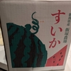 ふるさと納税のすいか：新潟県飯塚農場