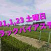 2021,1,23 土曜日 トラックバイアス予想 (中山競馬場、中京競馬場、小倉競馬場)