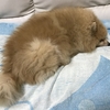 そぼろの徘徊d(*・ω・*)b♪