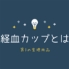 【月経カップ使ってみた】月経カップとはネ申の生理用品であーる。の巻。