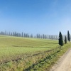 週末旅行、Toscana編 | 360度ぶどう畑に囲まれたアグリツーリズモ@Pienza