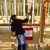 しろとり動物園に行ってきました！
