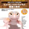 レオパを飼って1年が経過したので振り返る（飼うまでの準備と機材編）