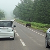 北海道キャラバン2023夏⑧～とうとうヒグマに出会ったよ！