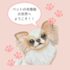 可愛いうちの子ペイント・基礎講座