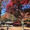 小諸懐古園の紅葉は今が見ごろだぞ！