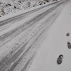 今日も雪