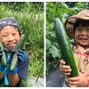 【夏休みの毎週火曜日】西谷の畑で校外学習を開催します！　ー楽しい野菜の収穫ー
