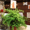 6月