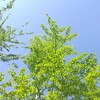 自助ってなんだろう？「YMO 以心電信」自分を愛してみよう