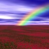 自分で決める！！自分の人生を自分で決めて歩く/ 【瞑想９日目】
