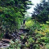 【登山_日本百名山⛰】絶景3000m⁉️　〜いっや、高えなぁ・後編〜