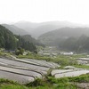 四谷千枚田（愛知県旧鳳来町）