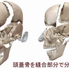 私が「頭皮が柔らかくなりましたね～」といわれて、よろこんだ、わけ。