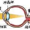 【医学】目の構造とアイマッサージャーを解説する