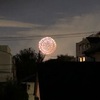 秋の花火🎆