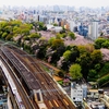 飛鳥山の春　全体俯瞰