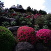 富士ぼたん園・那須与一道の駅　　