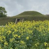 2021年4月4日　九州自然歩道　95日目　宮崎県西都市上三財～西都市西都バスセンター　菜の花に彩られた古墳群を歩く