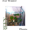 観葉植物のお引越し！ベランダへ新生活♪ #家庭用ビニールハウス