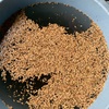 米栽培始めの作業塩水選