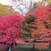 【わたしの旅】日光・鬼怒川そして紅葉