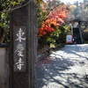 鎌倉晩秋/千姫ゆかりの東慶寺から浄智寺、建長寺へ