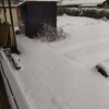 雪だ。