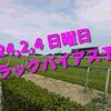 2024,2,4 日曜日 トラックバイアス予想 (東京競馬場、京都競馬場、小倉競馬場)