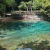 夏の山口県撮影旅行⑧～透き通ったターコイズブルー「別府弁天池」