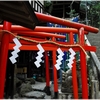 式内大社・天照大神高座神社写真館（６/１３）