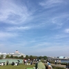 山下公園とテニスボール