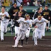 阪神タイガース（2023）中日戦～恐怖の8番バッタ―の活躍でサヨナラ勝ち～【プロ野球】